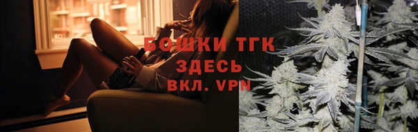 стаф Вяземский