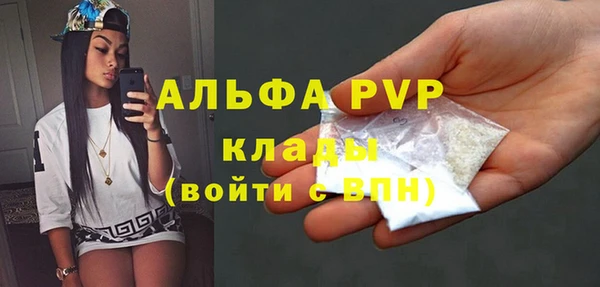 стаф Вяземский