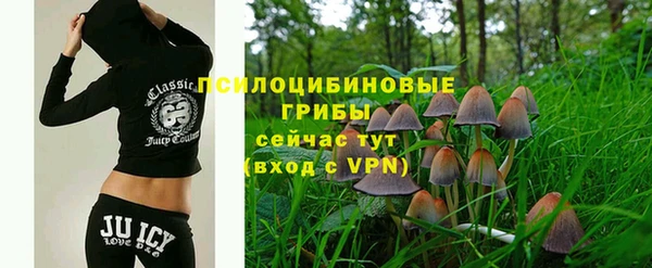 стаф Вяземский