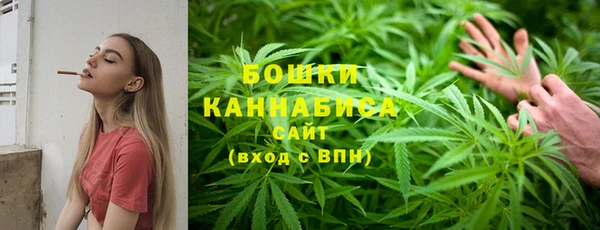 стаф Вяземский